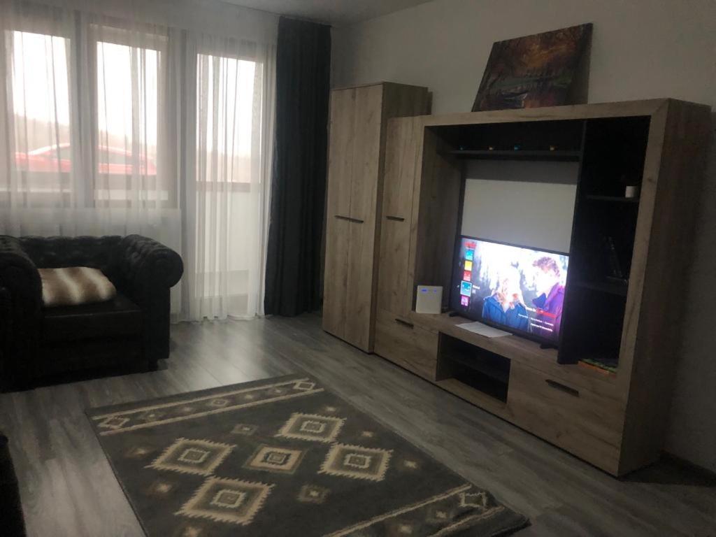Ilinca-Zgatia Apartman Karácsonkő Kültér fotó
